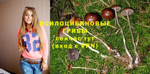 дмт Алзамай