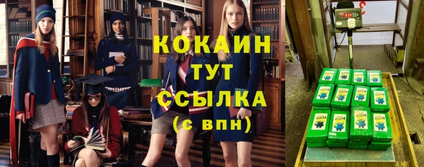 тгк Новозыбков