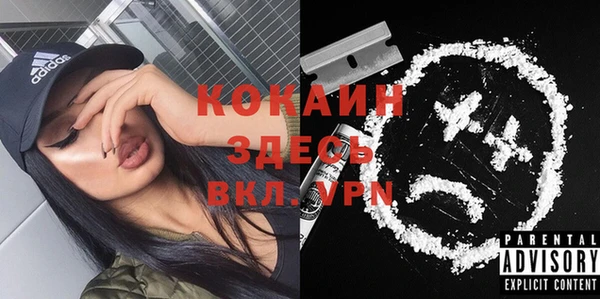 дмт Алзамай