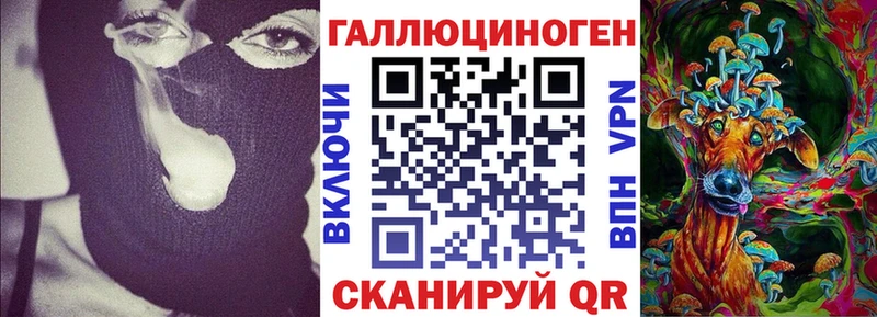 Галлюциногенные грибы Psilocybe Мензелинск