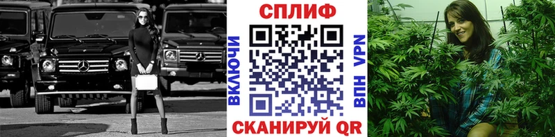где найти наркотики  Мензелинск  Бошки марихуана сатива 